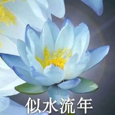 镜江湖手游官方版下载