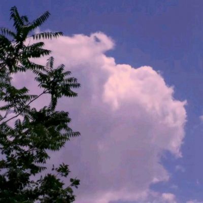 2345版梦幻西游手游下载